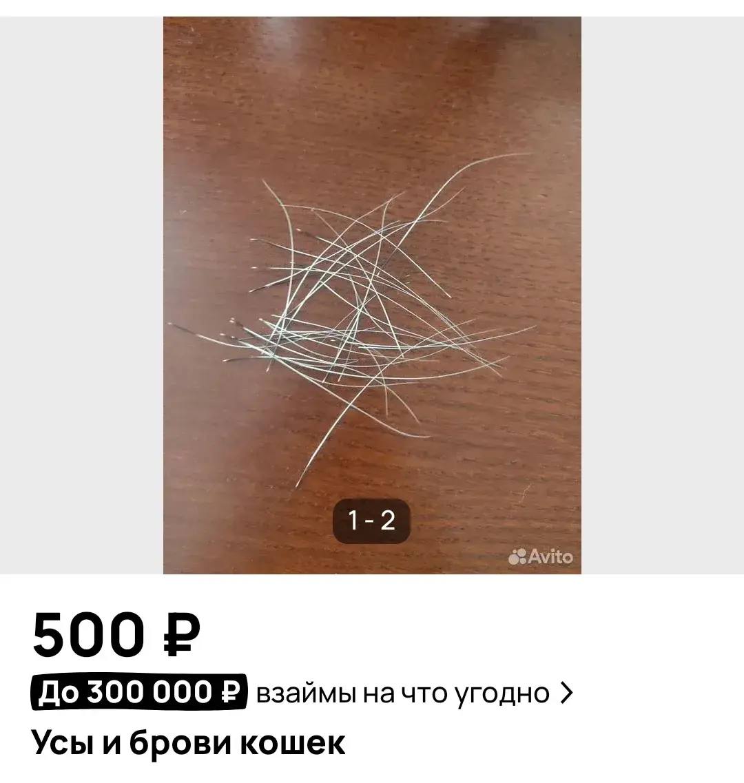 17895_17894